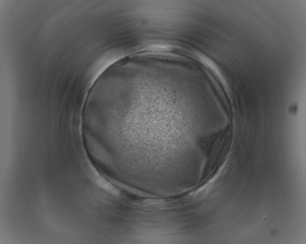 X0000092301194200709281320