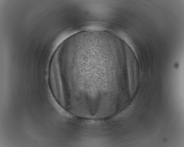 X0000092301195200709281320