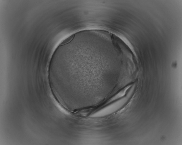 X0000092301197200709281320