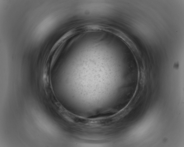 X0000092301198200709281320