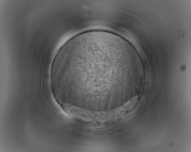 X0000092301199200709281320