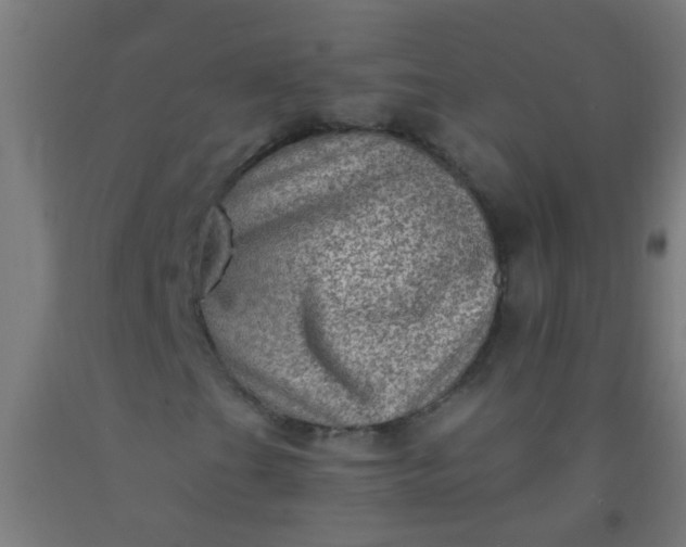 X0000092301201200709281319