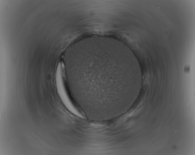 X0000092301202200709281319