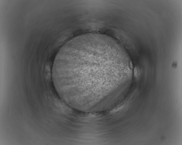 X0000092301203200709281319