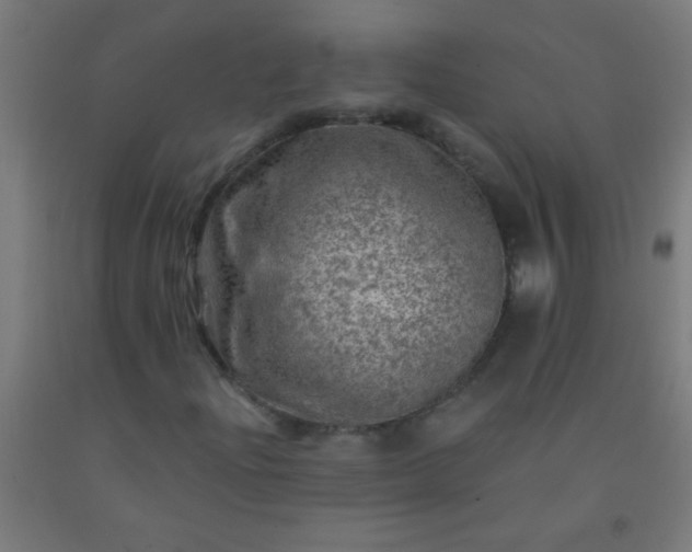 X0000092301204200709281319