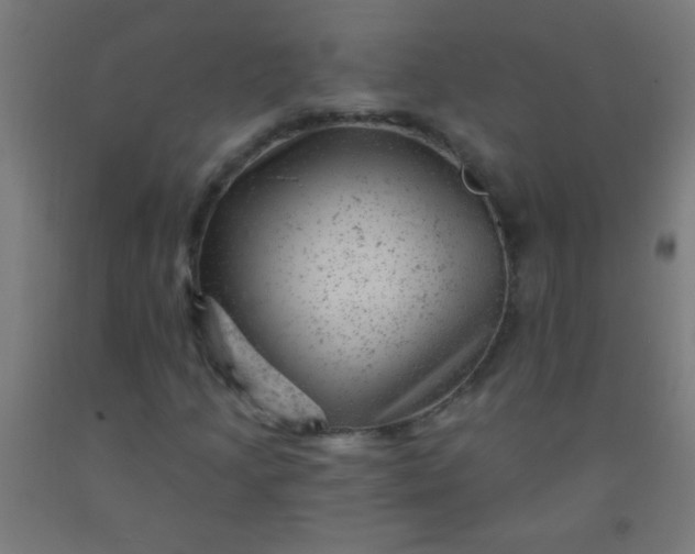 X0000092301205200709281319