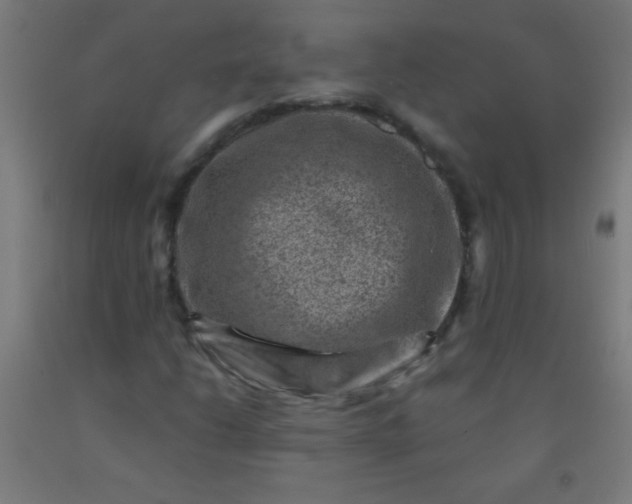 X0000092301206200709281319