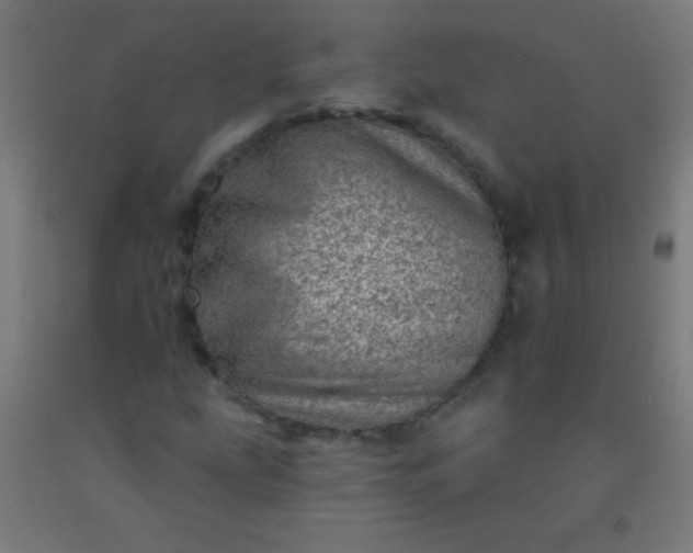 X0000092301207200709281319