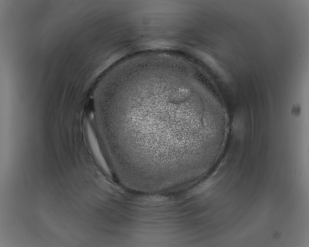 X0000092301209200709281319