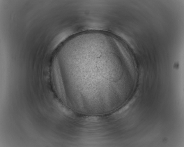 X0000092301211200709281319