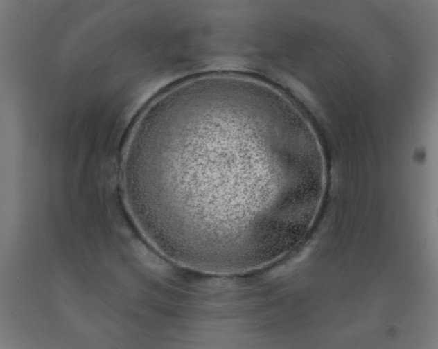 X0000092301212200709281319