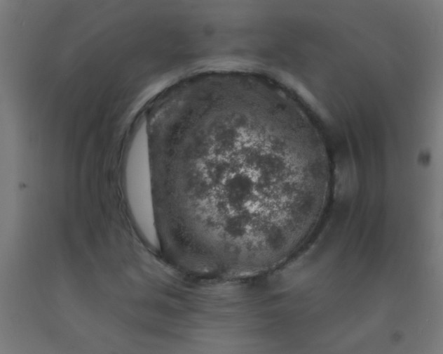 X0000092301213200709281319