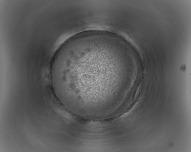 X0000092301215200709281319