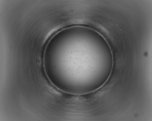 X0000092301218200709281319