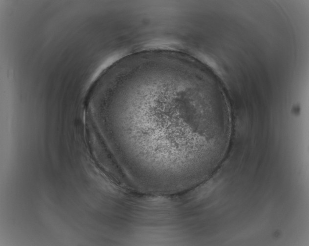 X0000092301219200709281319