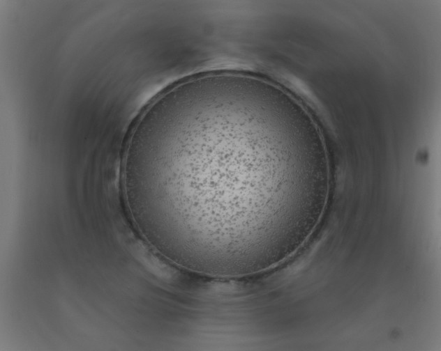 X0000092301220200709281319