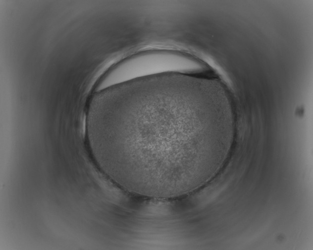 X0000092301221200709281319