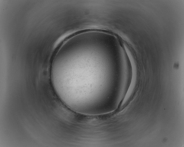 X0000092301222200709281319