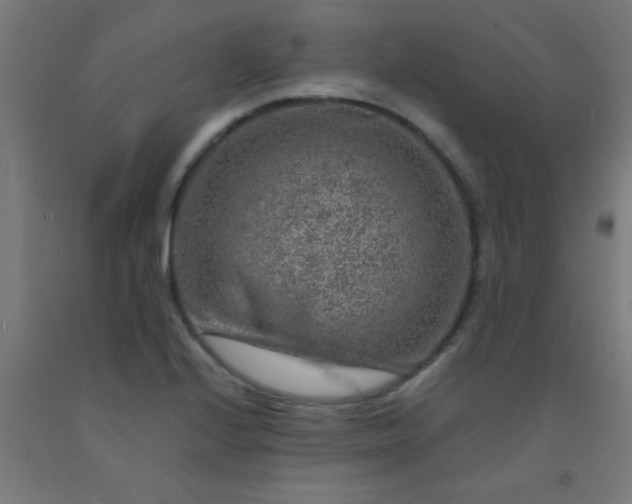 X0000092301224200709281319