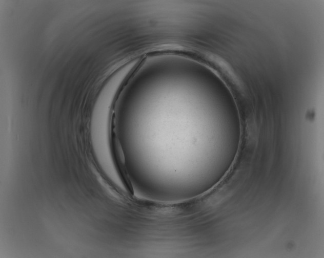 X0000092301225200709281319