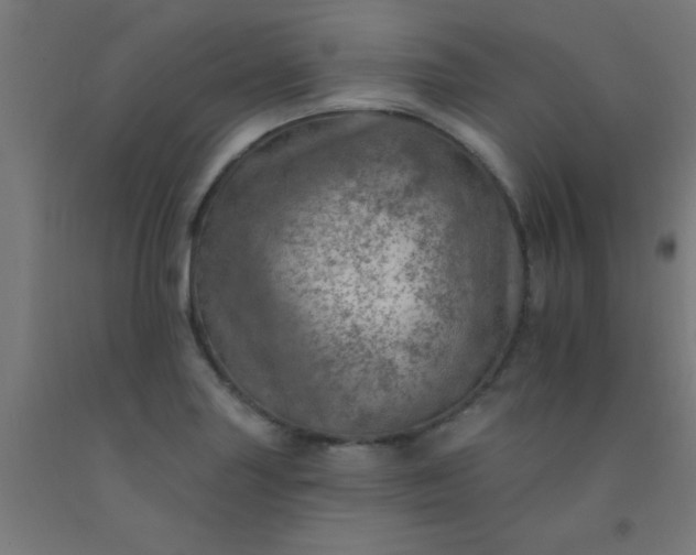 X0000092301227200709281320