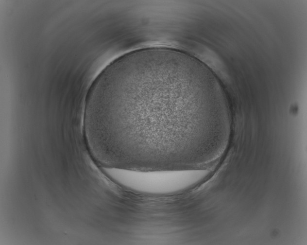 X0000092301228200709281320