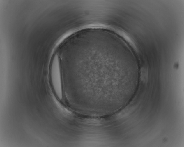 X0000092301229200709281320