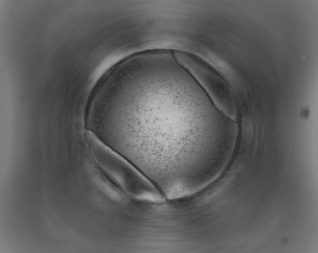 X0000092301230200709281320