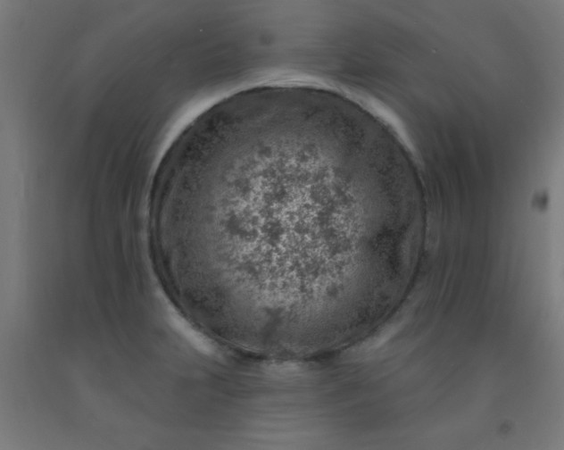 X0000092301231200709281320