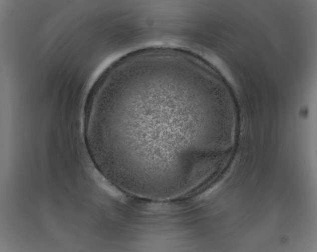 X0000092301232200709281320