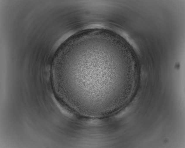 X0000092301233200709281320