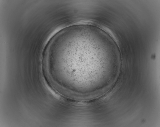 X0000092301235200709281320