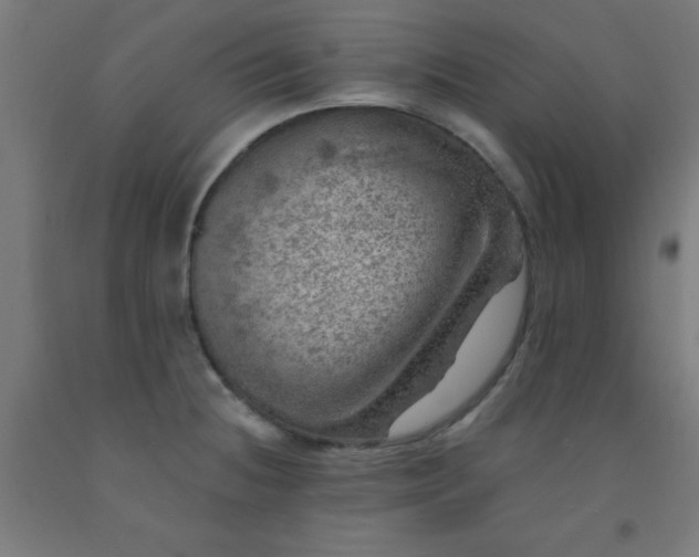 X0000092301236200709281320