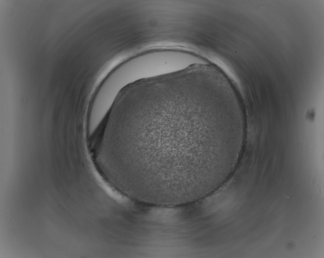 X0000092301237200709281320