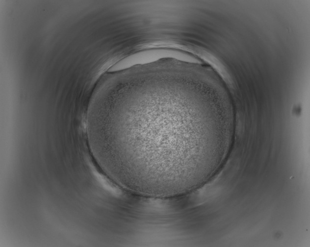 X0000092301241200709281320