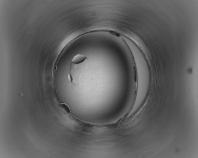 X0000092301242200709281320