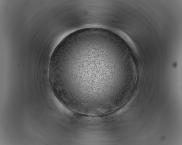 X0000092301244200709281320