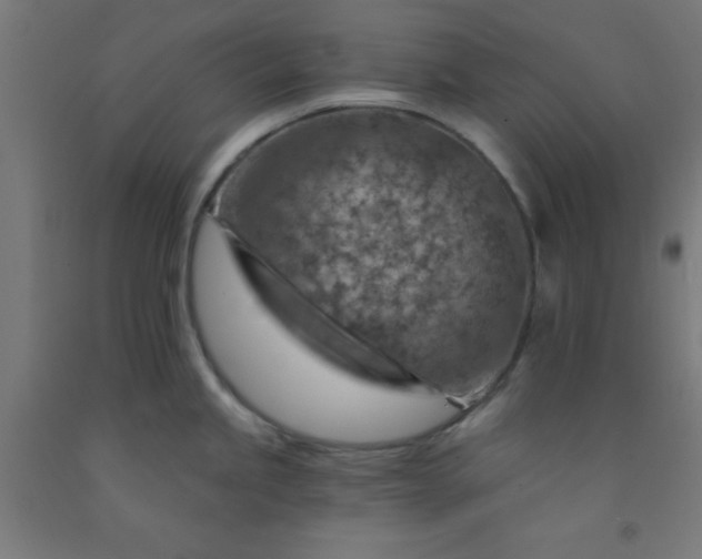 X0000092301245200709281320