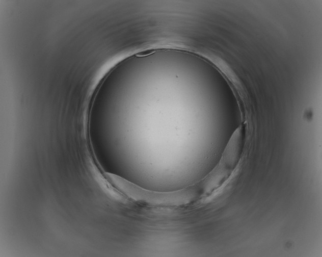 X0000092301246200709281320