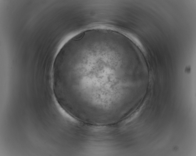 X0000092301247200709281320