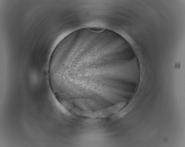 X0000092301248200709281320