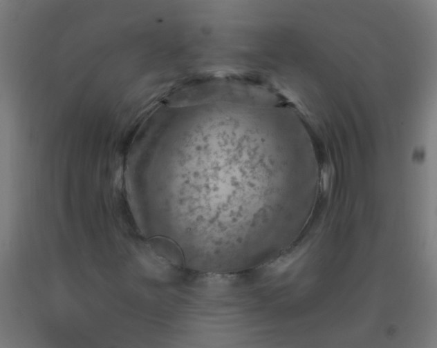 X0000092301251200709281319