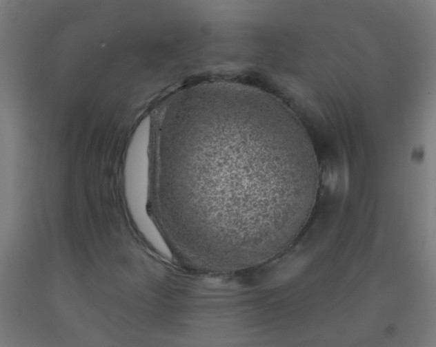 X0000092301252200709281319