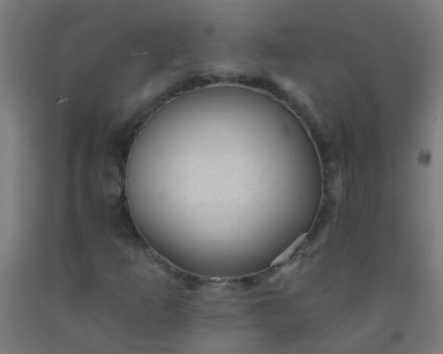 X0000092301253200709281319