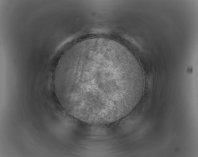 X0000092301254200709281319