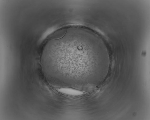 X0000092301255200709281319