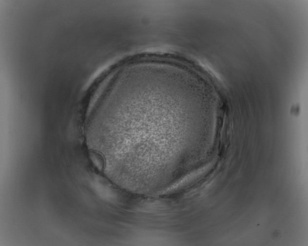 X0000092301256200709281319