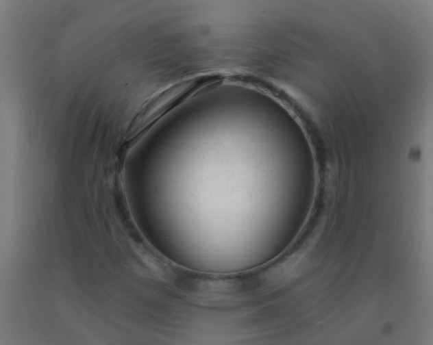 X0000092301257200709281319