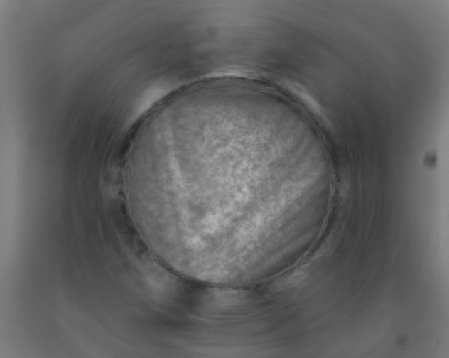 X0000092301258200709281319