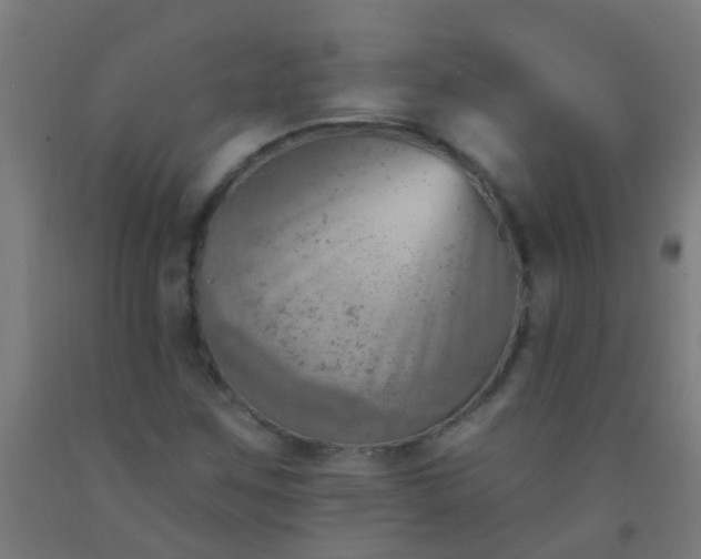 X0000092301259200709281319